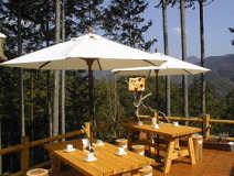 �I�[�v���J�t�F