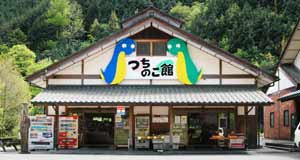 ���̂���